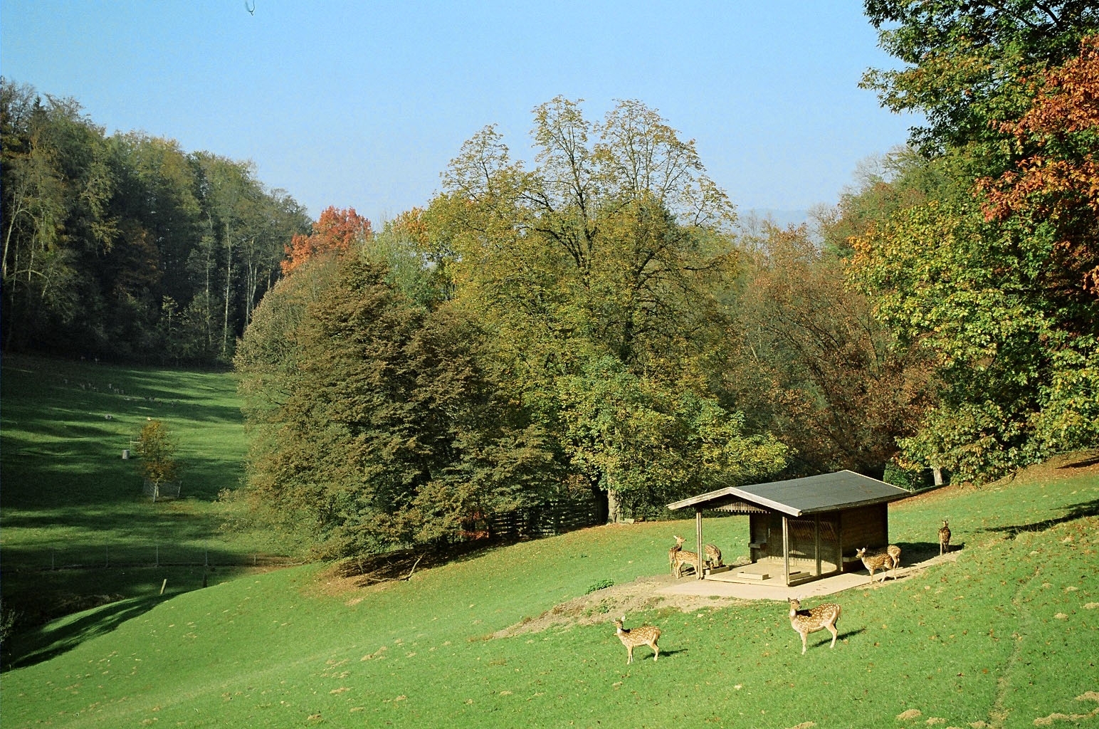 Photo of Roggenhausen doğal yaşam parkı