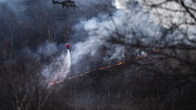 Photo of Tessin Kantonu’nda orman yangını