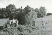 Photo of 125 yıllık çiftçi bir ulus